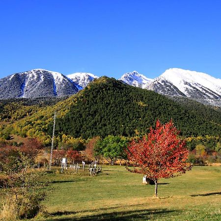 Monnatura Pirineus Son Del Pi Kültér fotó
