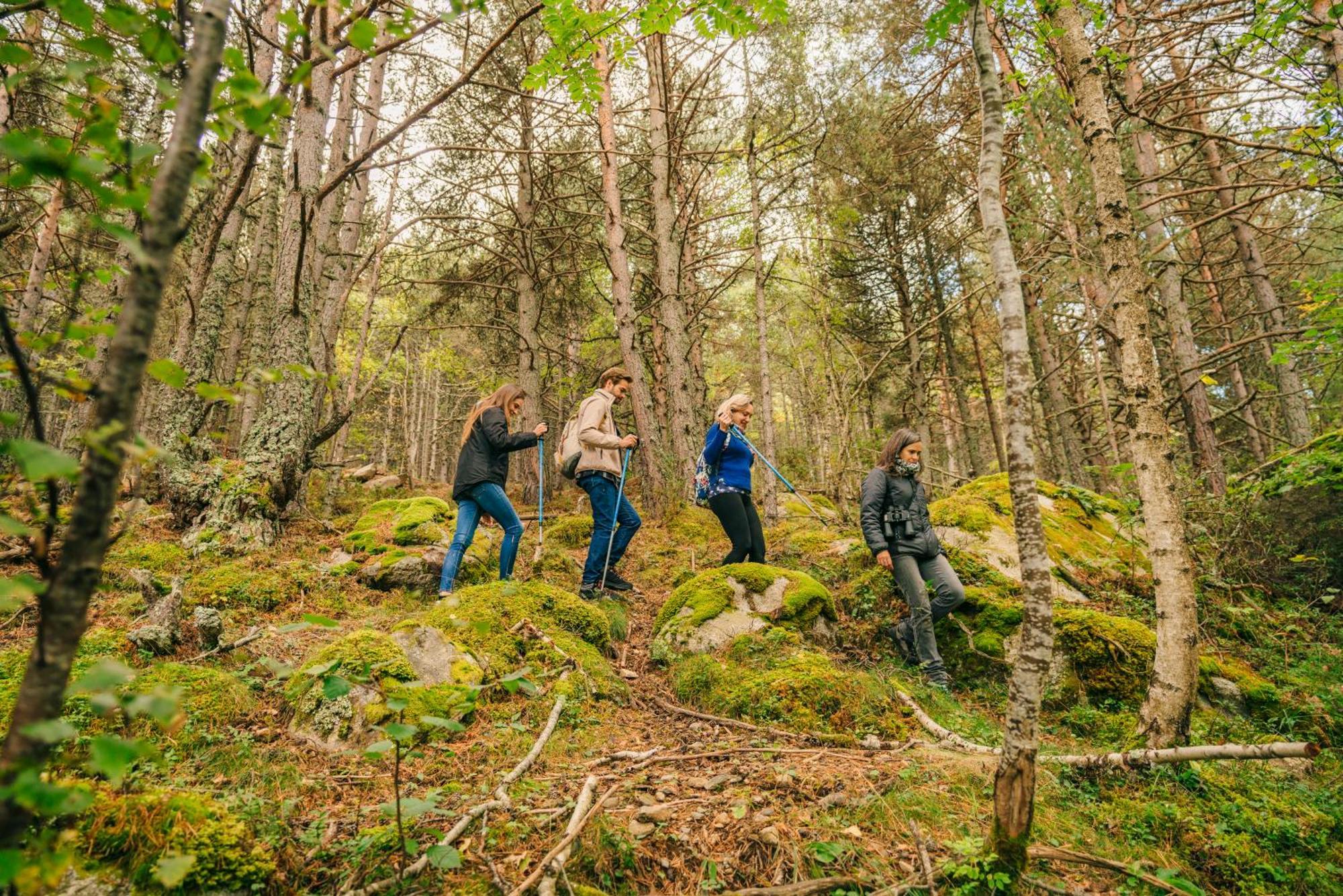 Monnatura Pirineus Son Del Pi Kültér fotó
