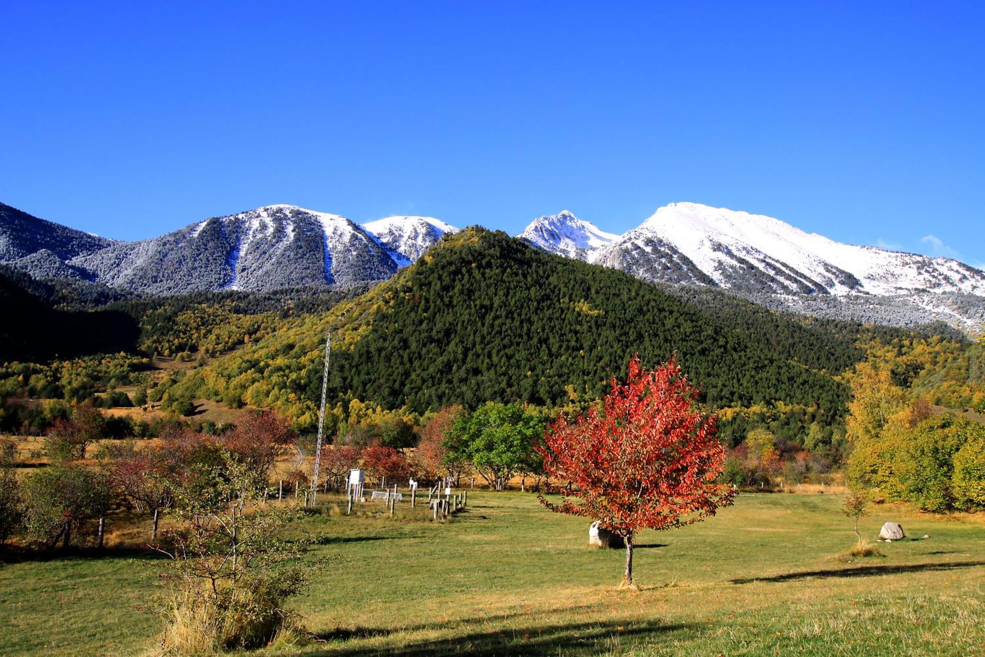 Monnatura Pirineus Son Del Pi Kültér fotó